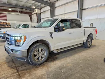 2023 Ford F-150 1FTEW1EP2PKF93410 Lot 52766926