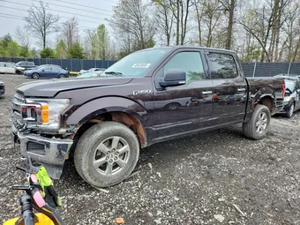 2019 Ford F-150 1FTEW1EP4KFD31034 Lot 48633666