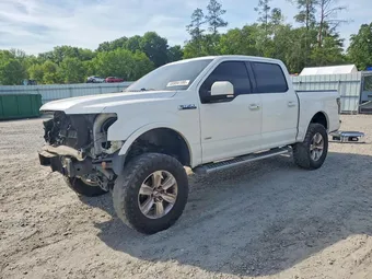2015 Ford F-150 1FTEW1CP8FFB41987 Lot 48994186