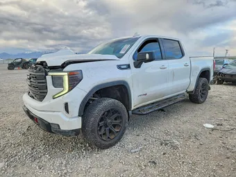 2023 GMC Sierra 1500 3GTUUEE89PG238209 Lot 50567616