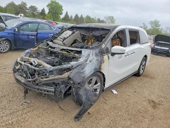 2020 Honda Odyssey 5FNRL6H70LB036845 Lot 53439676