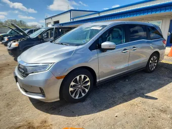 2024 Honda Odyssey 5FNRL6H66RB065508 Lot 51117316
