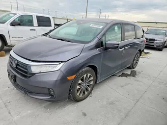 2023 Honda Odyssey 5FNRL6H68PB078709 Lot 53898006