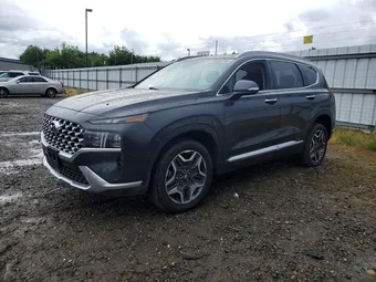 2023 Hyundai Santa Fe 5NMS5DA16PH005268 Lot 50595106