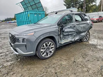 2021 Hyundai Santa Fe 5NMS5DAL5MH367511 Lot 50933946