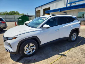 2023 Hyundai Tucson 5NMJBCAE6PH175504 Lot 53939176