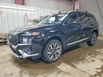 2023 Hyundai Santa Fe 5NMS5DAL5PH586232 Lot 51479636