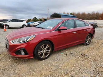 2019 Hyundai Sonata 5NPE34AF5KH783555 Lot 92229125