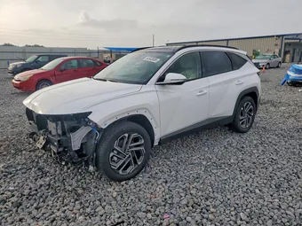 2025 Hyundai Tucson KM8JEDD19SU312602 Lot 54643936