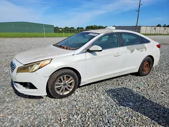 2017 Hyundai Sonata 5NPE24AF7HH505767 Lot 55254966