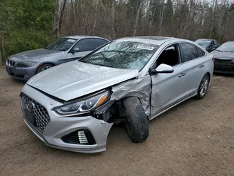 2019 Hyundai Sonata 5NPE34AF4KH774507 Lot 51095276
