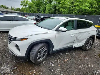 2023 Hyundai Tucson 5NMJF3AE9PH219130 Lot 52494186