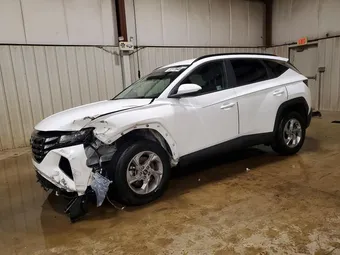 2024 Hyundai Tucson 5NMJBCDE1RH411488 Lot 52173646