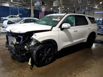 2025 Hyundai Palisade KM8R3DGE9SU907084