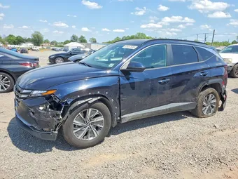 2022 Hyundai Tucson KM8JBCA11NU024374 Lot 52957536