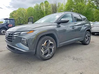 2024 Hyundai Tucson KM8JBDD26RU168681 Lot 50148706