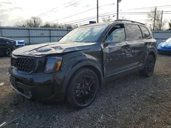 2025 Kia Telluride 5XYP5DGC3SG684529