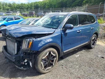 2025 Kia Telluride 5XYP6DGC3SG680915