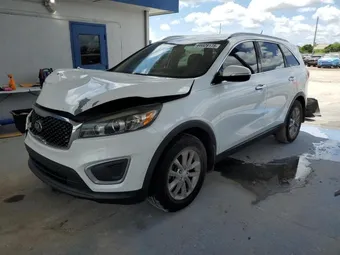 2017 Kia Sorento 5XYPG4A39HG253091 Lot 68029175