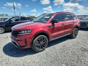 2023 Kia Sorento 5XYRKDLF3PG219953 Lot 51595086