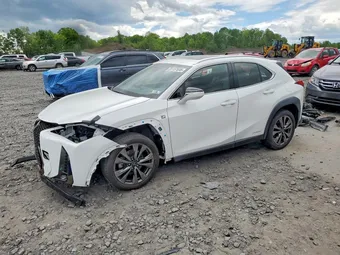 2019 Lexus UX 250H JTHU9JBH2K2006114