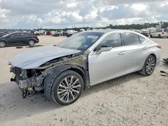 2019 Lexus ES 58ABZ1B19KU031953