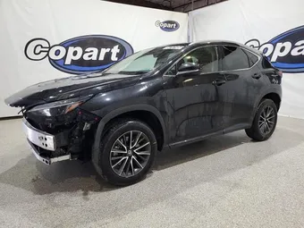2024 Lexus NX 350 2T2AGCEZ4RC057129