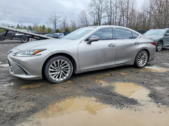 2019 Lexus ES 58ABZ1B13KU020415