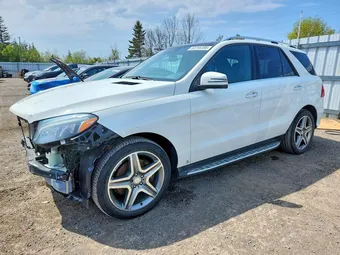 2016 Mercedes-Benz GLE-Class 4JGDA2EB4GA767550 Lot 53268286