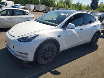 2023 Tesla Model Y 7SAYGDEE2PA109159 Lot 54798266