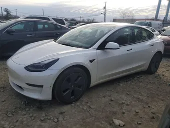 2023 Tesla Model 3 5YJ3E1EA1PF555184 Lot 46669266