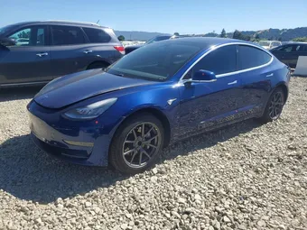 2020 Tesla Model 3 5YJ3E1EA5LF705923 Lot 53741216