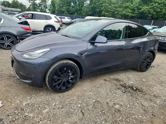 2021 Tesla Model Y Long 5YJYGDEE0MF196409 Lot 54072456