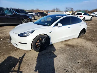 2019 Tesla Model 3 5YJ3E1EB6KF494934 Lot 45526496