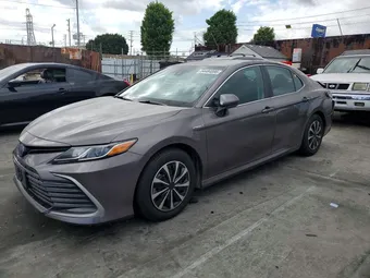 2021 Toyota Camry 4T1C31AKXMU560399 Lot 54484896