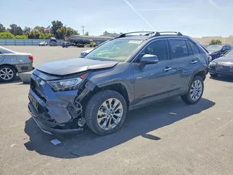 2019 Toyota RAV4 JTMN1RFV6KD022509 Lot 53243316