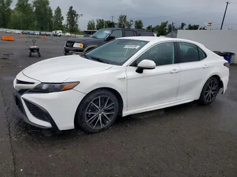 2021 Toyota Camry 4T1G31AK3MU556826 Lot 54084356