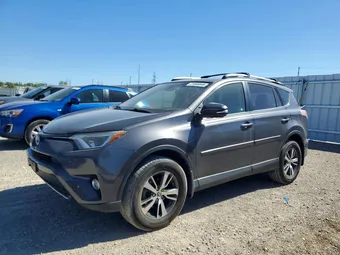 2017 Toyota RAV4 JTMRFREV2HJ164841 Lot 51846646