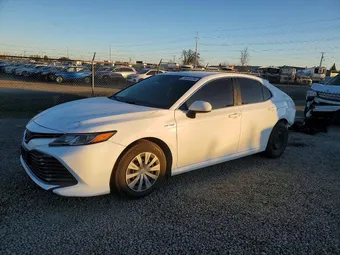 2019 Toyota Camry 4T1B31HK4KU510323 Lot 74434455