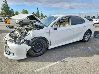 2020 Toyota Camry 4T1C31AK4LU542429 Lot 54929936