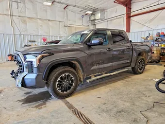 2024 Toyota Tundra 5TFLA5DB2RX218349