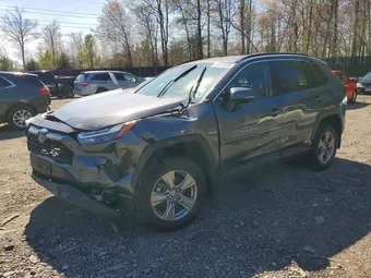 2024 Toyota RAV4 4T3RWRFV1RU145635 Lot 48973196