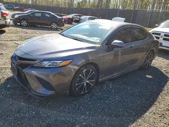 2019 Toyota Camry 4T1B11HK4KU766628 Lot 48970326