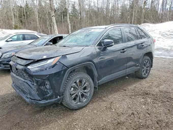 2023 Toyota RAV4 2T3RWRFV1PW155045 Lot 79813755