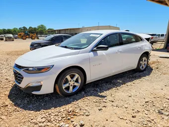 2019 Chevrolet Malibu 1G1ZC5ST4KF207650 Lot 53616906