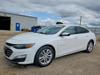 2019 Chevrolet Malibu 1G1ZD5ST3KF105883 Lot 50849096