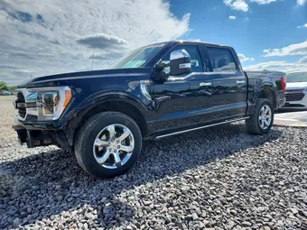 2021 Ford F-150 1FTFW1E87MFA81577 Lot 52269866