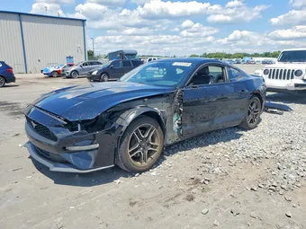 2022 Ford Mustang 1FA6P8TH2N5100249 Lot 53701556