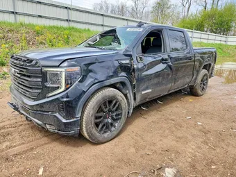 2023 GMC Sierra 1500 3GTPHCED5PG307996 Lot 49107236