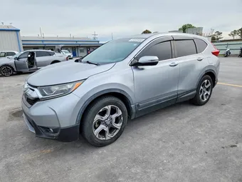 2019 Honda CR-V 5J6RW1H88KA034510 Lot 51849456